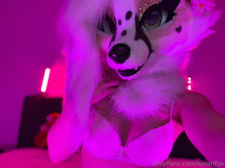 Lunarifox 高品質モデル 写真