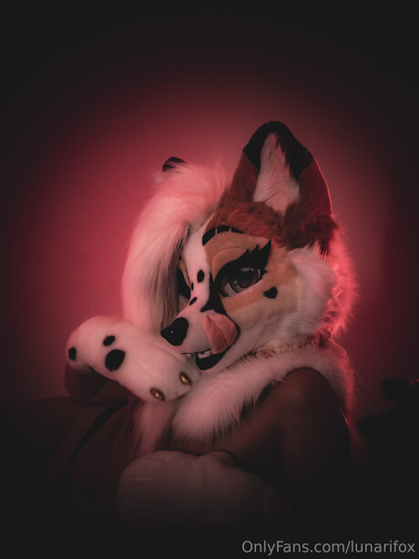 Lunarifox ポルノモデル 写真