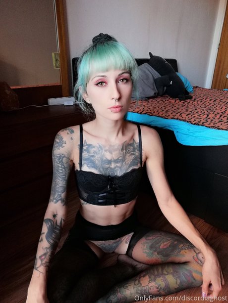 Discordia Suicide トップスター アーカイブ