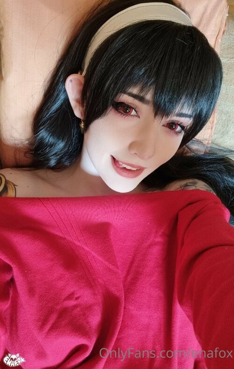 Enafox HDモデル 写真