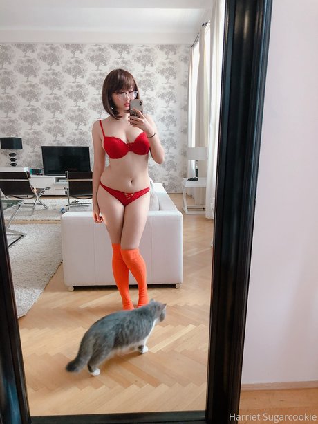 Harriet Sugarcookie ポルノスター アート 写真
