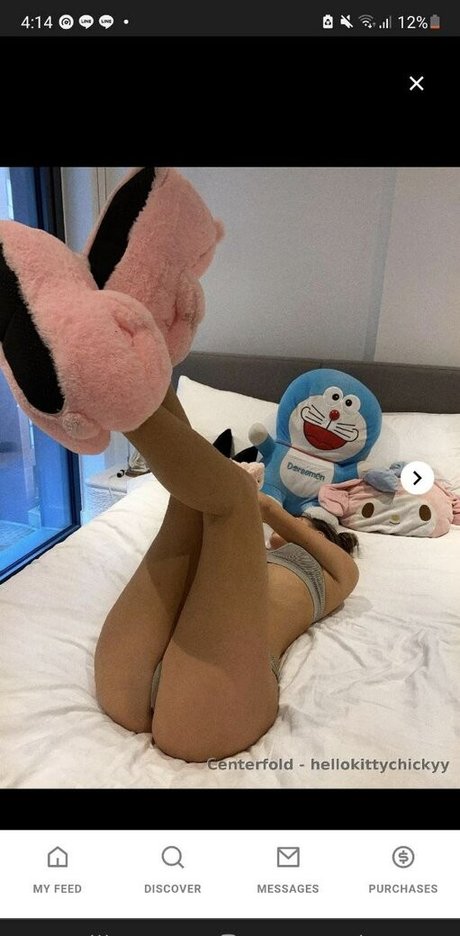 Mayakitty 限定モデル 画像