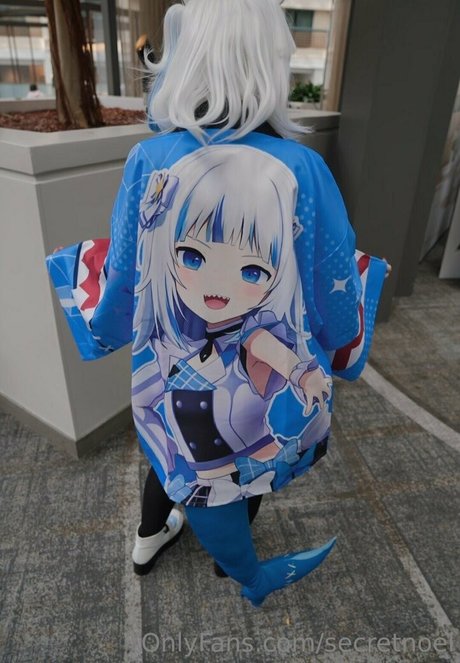 secretnoel トップスター 写真