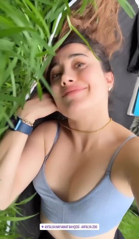 Merve Elmas トップポルノスター 画像