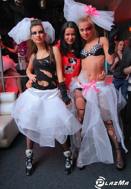 Gogo Stripper ホットモデル 画像