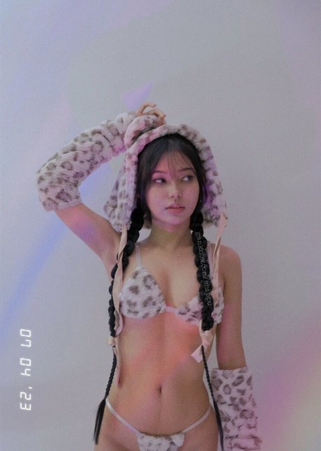 Chippu 完璧なポルノスター 写真