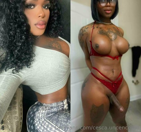 cesca uncencored ポルノスター xxx 写真