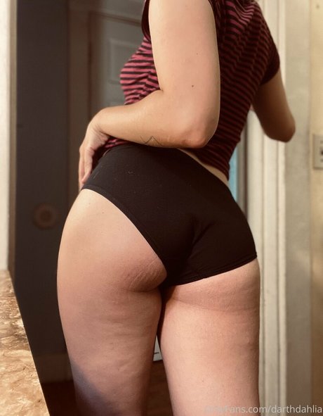 dahliaellie 最高のスター 写真