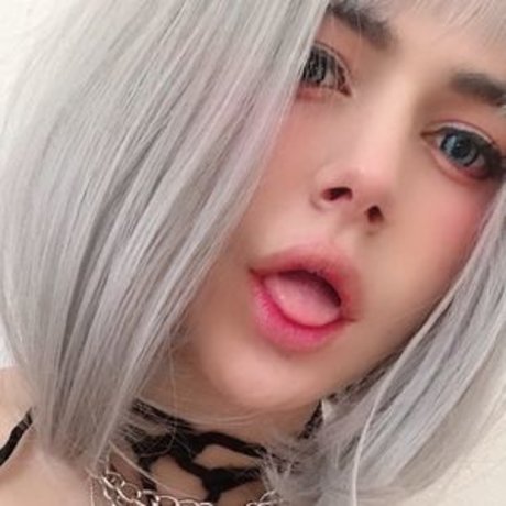 PunkMacarroni 高品質女優 画像