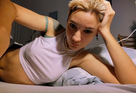 Ohnips アートスター 写真