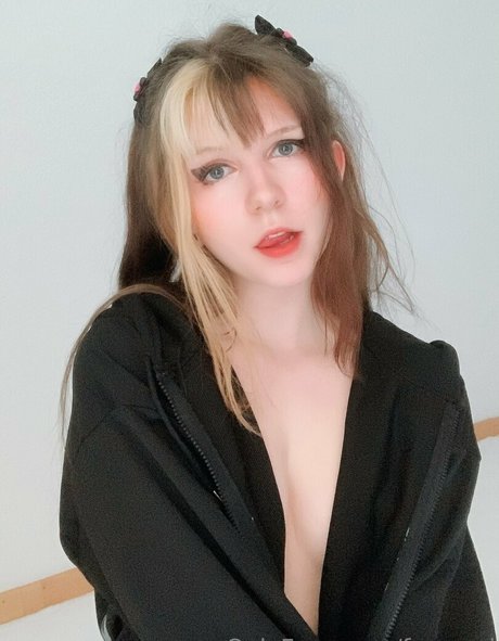 freenori 美しいスター 写真