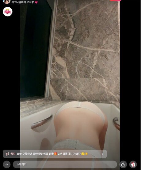 moguu  mogu 独占モデル 画像
