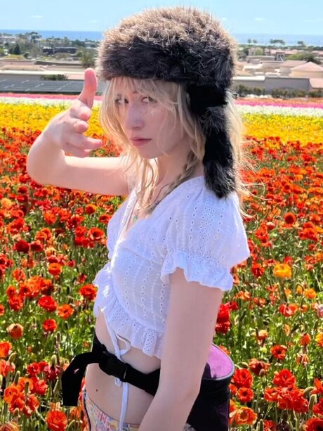 bug universe 美しいスター 写真