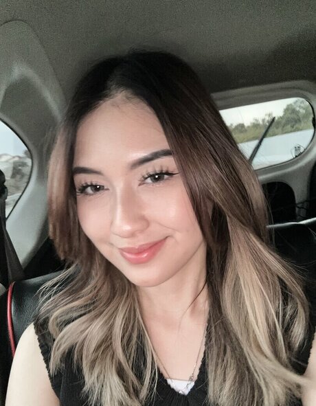 Swansage 高品質スター ギャラリー