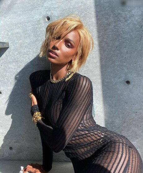 Jasmine Tookes 裸のモデル 画像