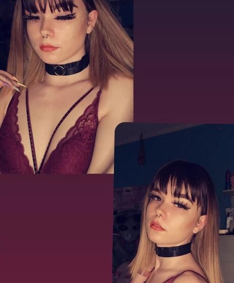 secret hub wue ポルノスター 画像