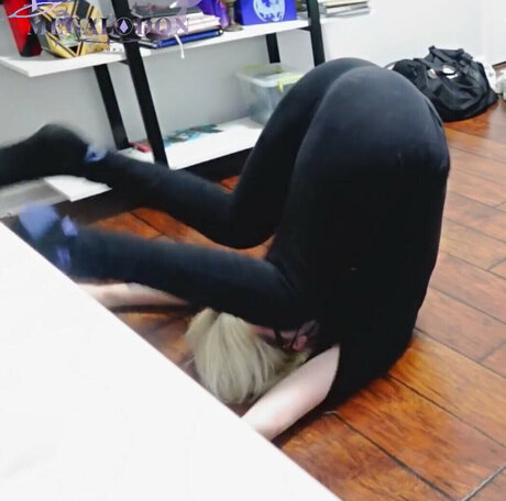 MegalodonVT 独占女優 画像
