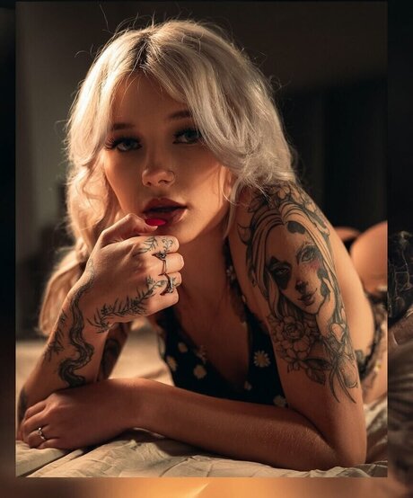 Brewi トップスター 写真