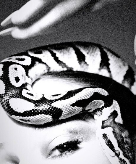 Biig Piig 裸モデル 写真