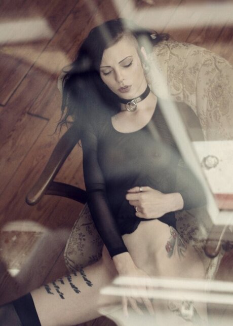 VipersDoll 素敵なスター 写真