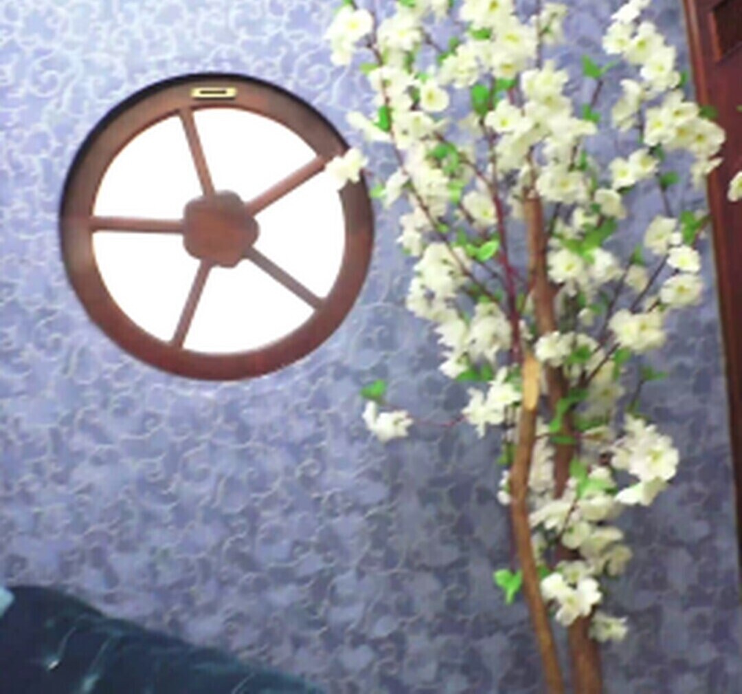 NewMFX ヌードスター 画像