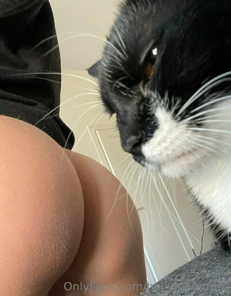 hollymoonvvip ホットモデル 画像