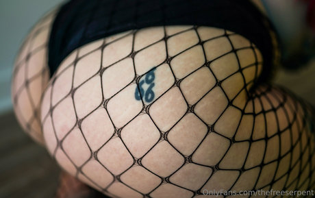thefreeserpent セクシーなポルノスター 画像