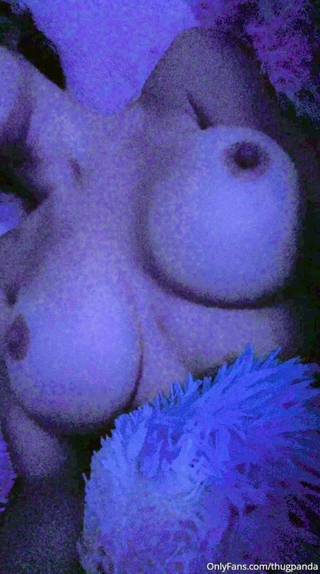 Thug Panda トップスター 写真