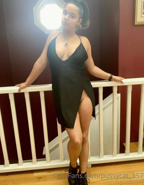 pussycat 357 HDスター 写真