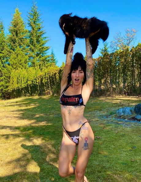 Lights Poxleitner 高品質モデル 写真