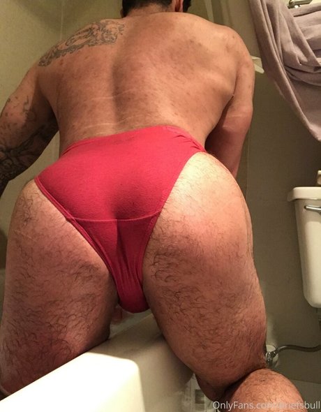 briefsbull 無料モデル 写真