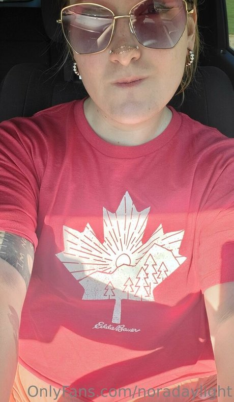 noradaylight トップ女優 写真