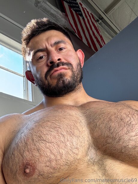 Mateo Muscle ヌード女優 写真