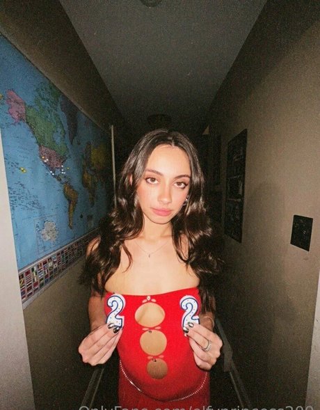 elfyprincess209 アートスター 写真