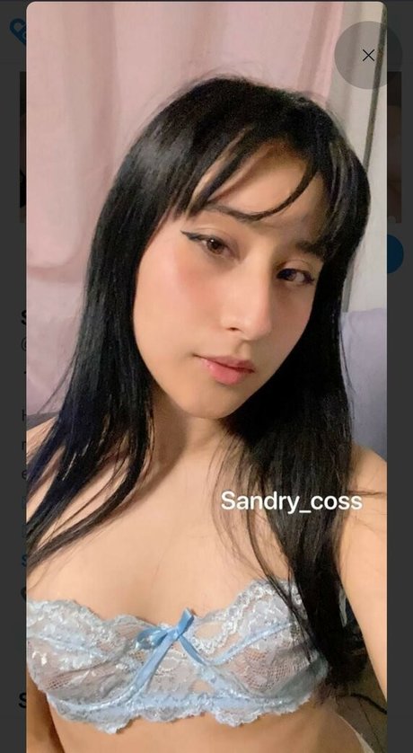Sandry coss 高品質モデル 画像
