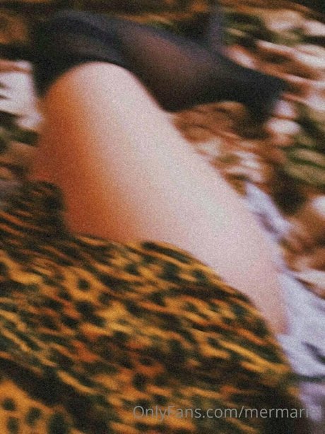 mermariel ホットスター 写真