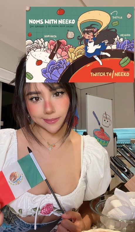 Neeko アダルトモデル 画像