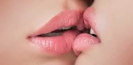 Notechis XXXモデル 写真