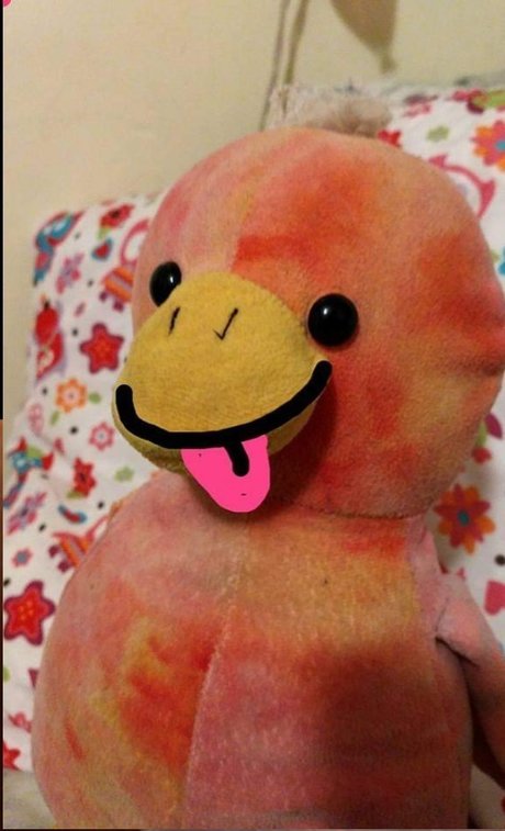 The Pido ポルノスター パーフェクト 写真