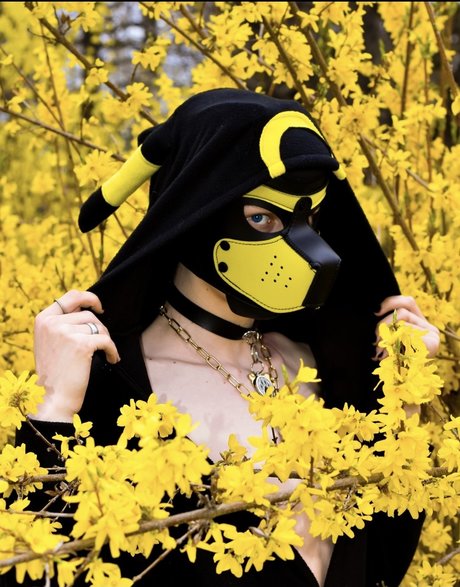 Pup Devil かわいいポルノスター 写真