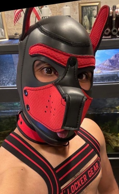 Pupper Atticus 完璧なポルノスター ギャラリー