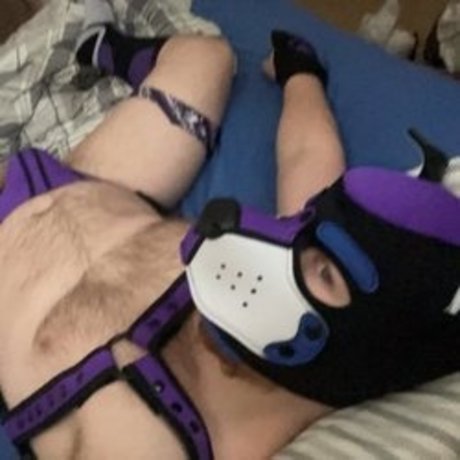 Pup Jagd 限定モデル 画像