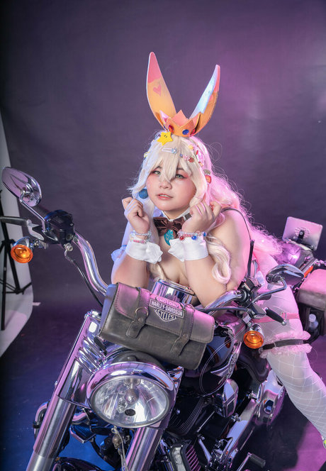 ponkapion 美しいスター 写真