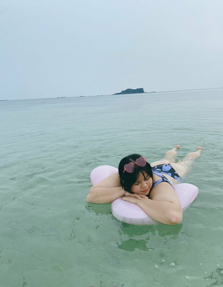 ponkapion 美しいスター 写真