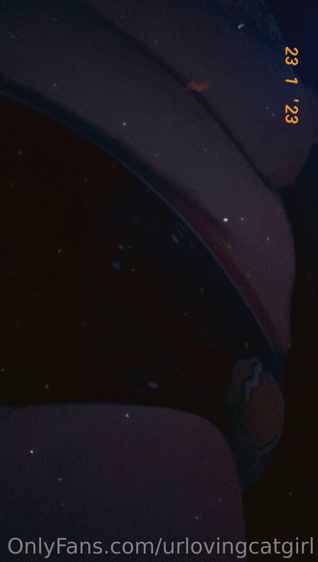 urlovingcatgirl アートスター 写真