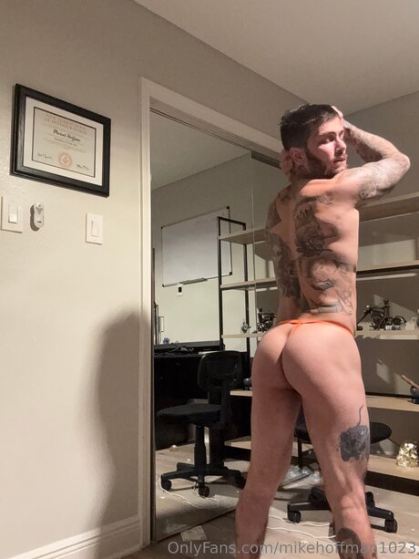 Michael A Hoffman アートスター 画像