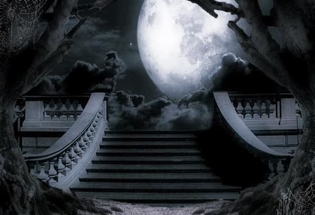 BigBeautifulKitten ヌードモデル 画像