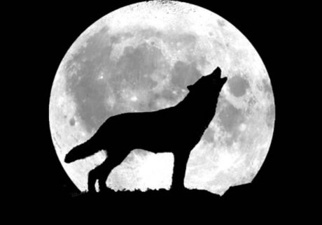 BadWolfZer0 ヌードのポルノスター 画像