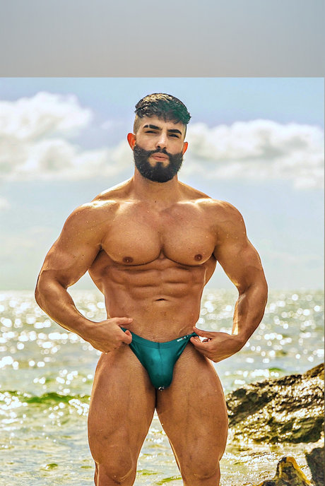 Mr Miami トップスター 写真