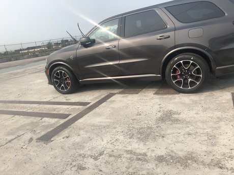 MrShowOutDetroit 完璧なスター 写真
